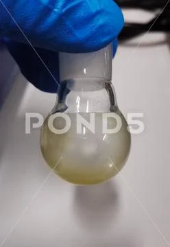 Lab glassware with blue security gloves for scientific research Stock Photos