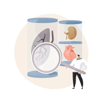 Lab-grown organs abstract concept vector illustration. Illustrazione stock