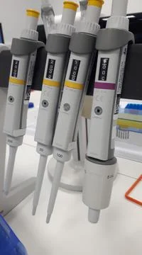 Lab instruments - pipettes Fotos Stock