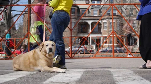 LAB AT MARATHON Stock-Footage 191004513