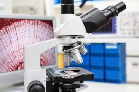 Lab microscope Stock Photos