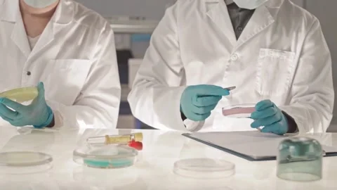 Lab Researchers Study Biological Samples and Discuss Findings Stock Footage 320503819