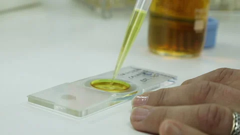 Lab sample pipette Stock-Footage 145363484
