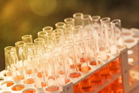Lab science research Stock Photos
