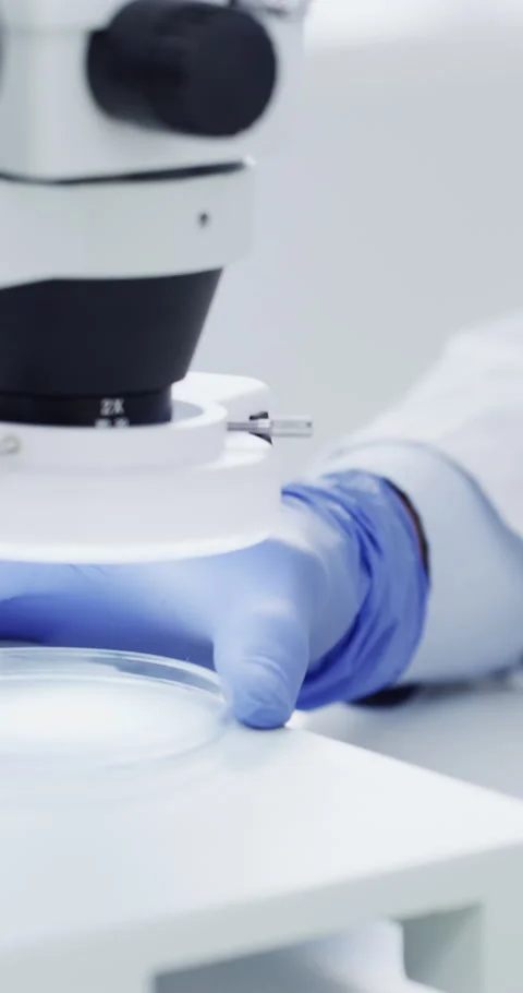 Lab, scientist and man with microscope, study and disease inspection with plant Stock Footage 336736448