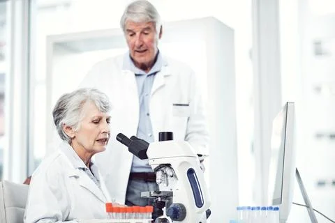 Lab, scientist and people with microscope, talk and medical research for dr.. Stock Photos