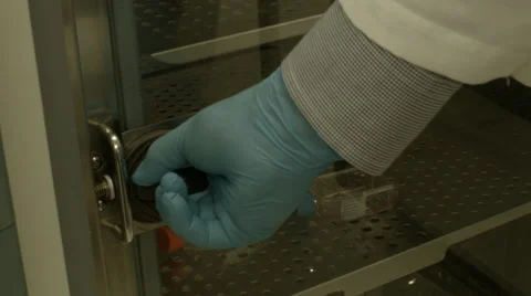 Lab Scientist Closing Door of a Container Stock Footage 61212839