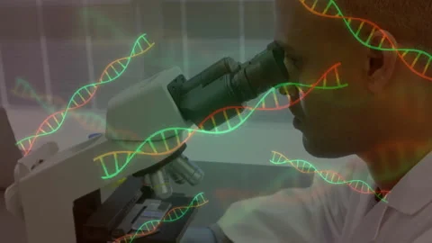 Lab scientist inserting slide adjusting focus knobs for DNA analysis with 스톡 동영상 312071904