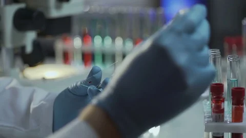 Lab scientist preparing microscope slide with blood sample for examination Video stock 73952854