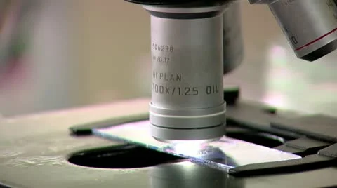 Lab scientist using microscope during research microbes on plate Vidéo 10888821