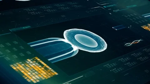Lab screen showing cloning process, cell being injected, DNA research, mutation Stock Footage 79026085