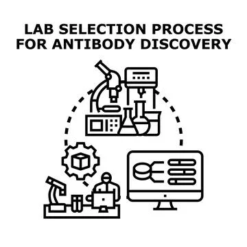 Lab selection process for antibody discovery research イラスト素材