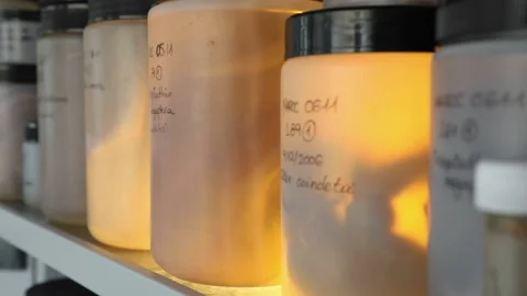 Lab specimen sample Stock Footage 145362579