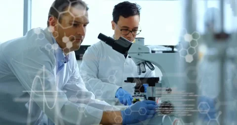 Lab team placing slide, adjusting stage and pipetting sample for analysis with Stock Footage 334311972