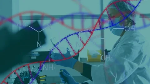 Lab tech aligning sample bench, 2nd gloved hand starting pipet swap, DNA Stock Footage 332704477
