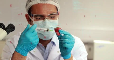 Lab tech aligning syringe, injecting strawberry for food test while data Stock Footage 330717854