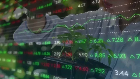 Lab tech bringing seedling tray checking and watering while finance tickers Video stock 330195187