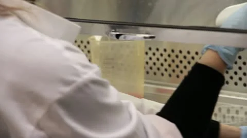 Lab tech injects samples into petri dish Stock Footage 21931998