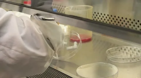 Lab tech injects vials and moves petri dish Stock Footage 21931134