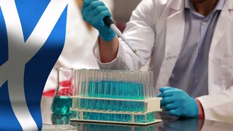 Lab tech lifting pipette pipetting blue solution into tubes for test, blue Stock Footage 335235275