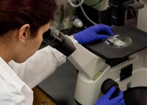 Lab tech on Microscope 2 Stock Photos