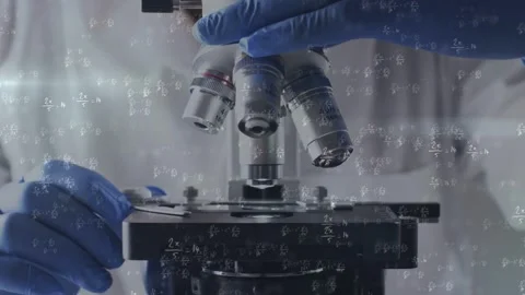 Lab tech placing slide, turning lens, focusing, showing sample for study with Stock Footage 335235330