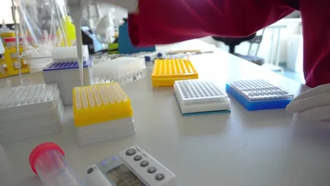 Lab technician assistant pipetted and processed patient samples in the Video stock 134519025