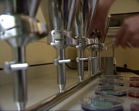 Lab technician changes a filter and places it in a petri dish Stock Footage 126043246