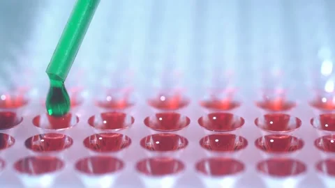 The lab technician does an express blood test Stock Footage 131618697