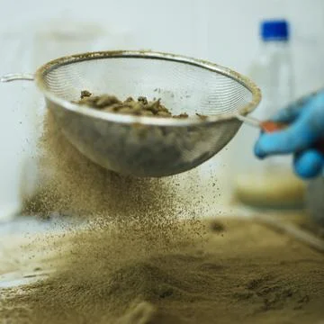 Lab Technician Handling CBD Extract Powder Foto stock