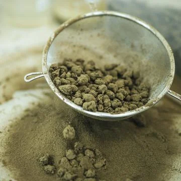 Lab Technician Handling CBD Extract Powder Stock Photos