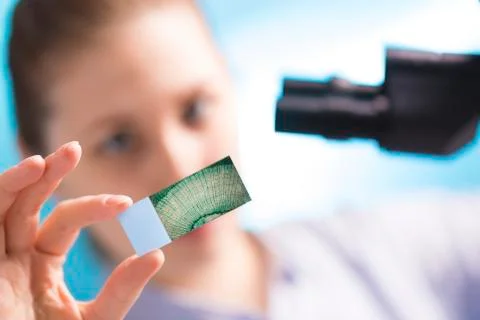 Lab technician holding microscope slide Stock Photos