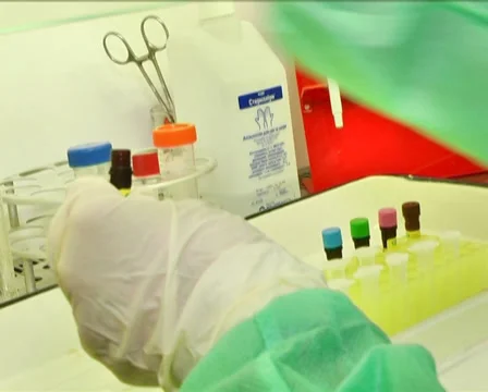 Lab Technician in Laboratory 3 Stock Footage 36116464