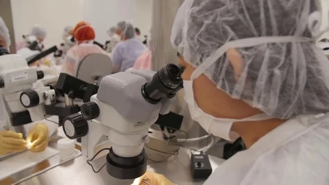 Lab technician looking into microscope Video stock 77603796