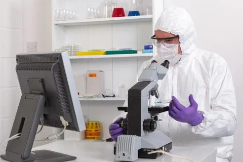 Lab technician looking at screen Stock Photos