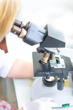 The lab technician looks into the microscope and records and analyzes the blo Stock Photos