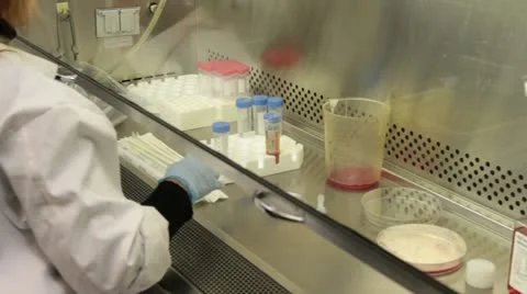 Lab technician measuring fluid under protective hood Stock Footage 21939474