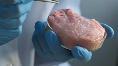 Lab technician or scientist studying an example of a piece of meat Stock-Footage 116109916