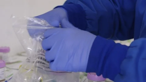 Lab technician organizes biohazard samples in a laboratory. Stock Footage 114779813