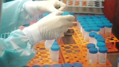 Lab technician organizing sample tubes in racks during laboratory workflow. 스톡 동영상 347783888