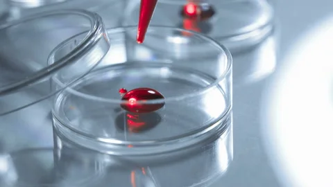 Lab technician performs medical tests Video stock 96410351