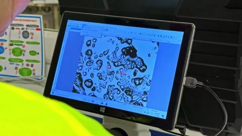 Lab Technician Reviews Milk Sample Analysis on Computer Screen with Microscope Stock Footage 341539352