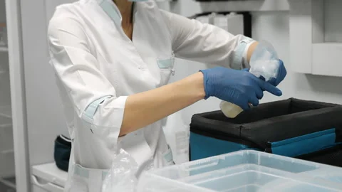 Lab technician sorting incoming blood samples for clinical analysis. Vídeo Stock 321577642