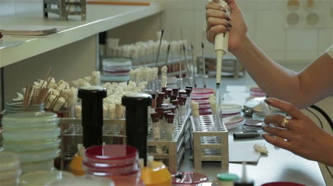 Lab technician taking specimens from test tubes and analyzing, hands close up. Stock Footage