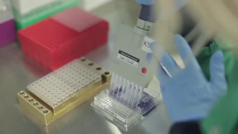 Lab Technician Transferring Solution with an Autoclavable Pipette Stock Footage 69851241