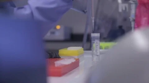 Lab Technician Transferring Solution with an Autoclavable Pipette Stock Footage 71454792
