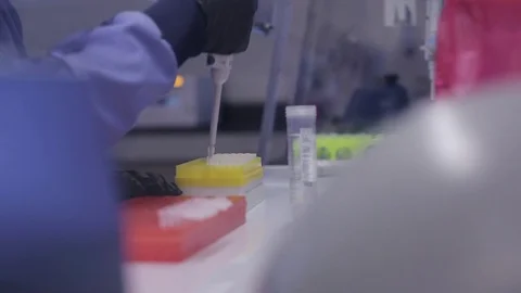 Lab Technician Transferring Solution with an Autoclavable Pipette Stock Footage 71455364