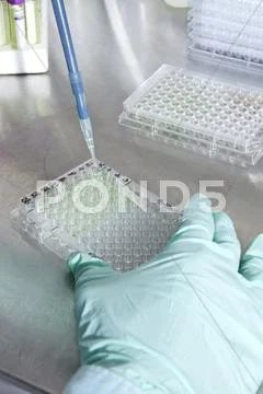 A Lab Technician Using A Dropper To Put Samples Into A Tray Of Test Tubes,
