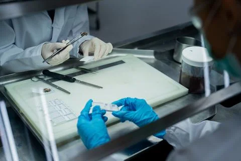Lab technicians conduct tests and analyze samples during a research project.. Stock Photos