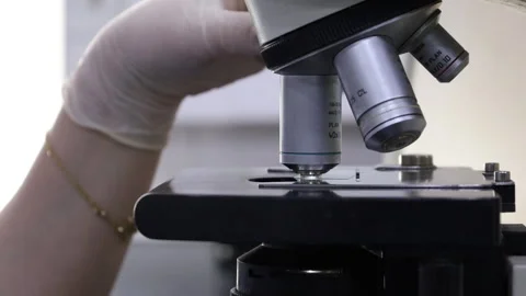 A lab technician's hand translates the lenses of a microscope Stock Footage 283793535